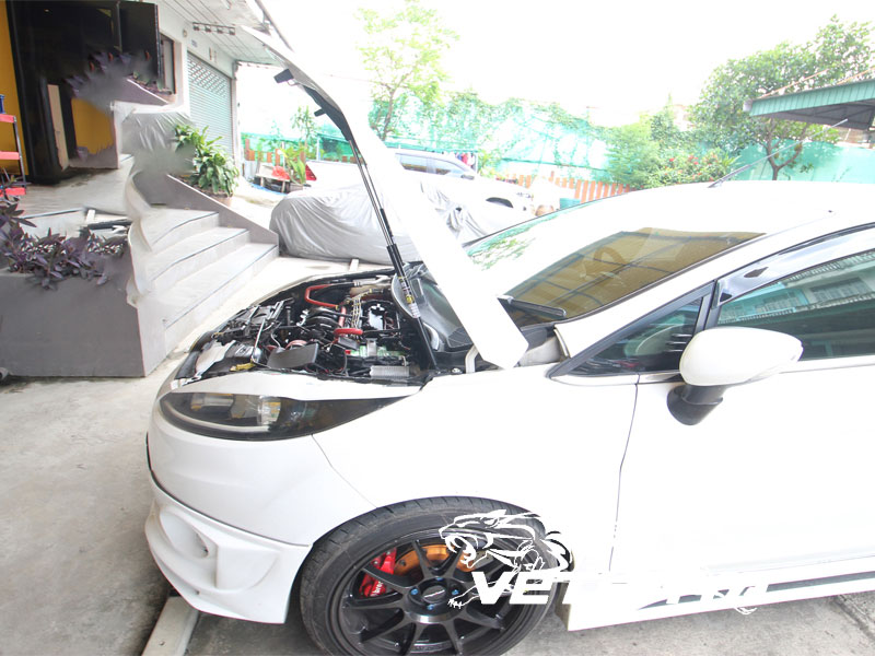 ford fiesta 2010-19