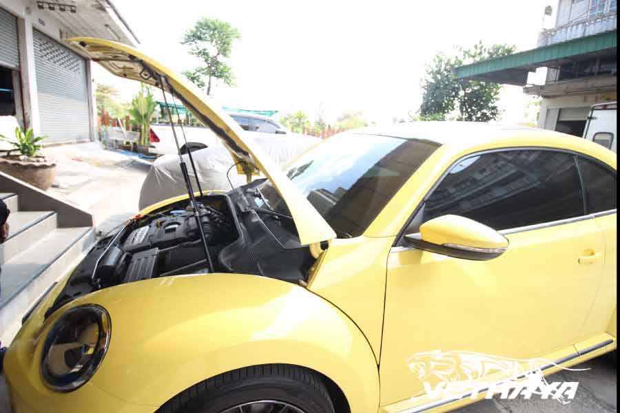 BEETLE 2013-22