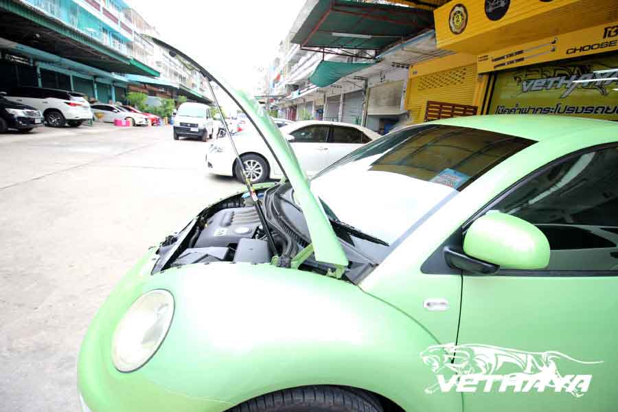 beetle 2002-12