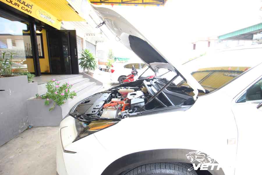 LEXUS NX300h