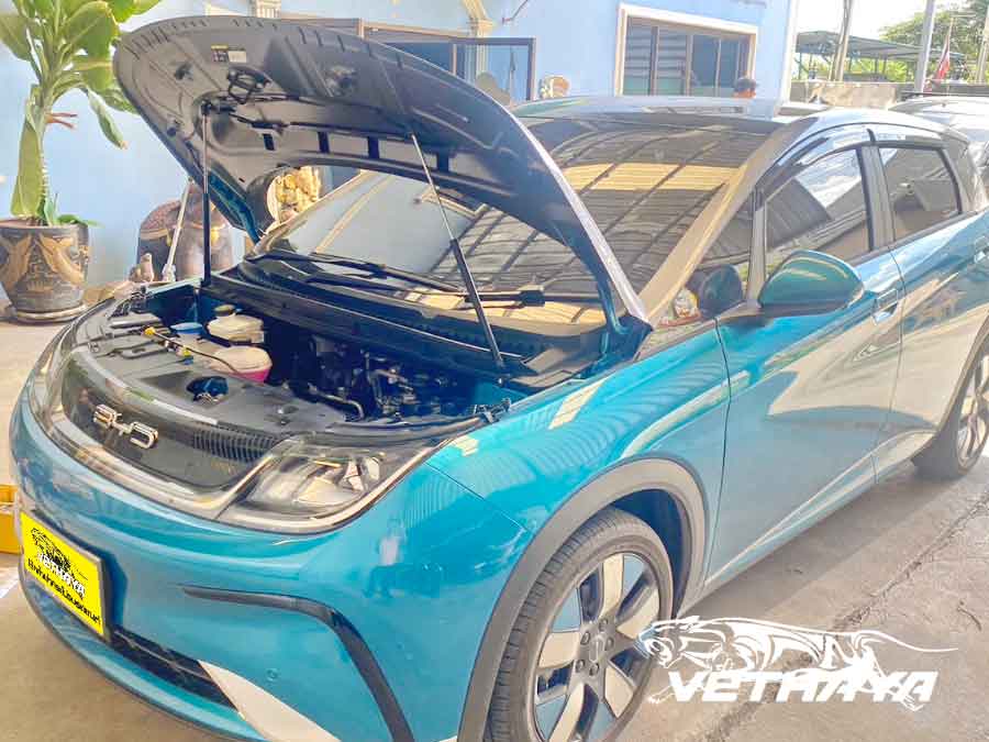 byd dolphin 2023